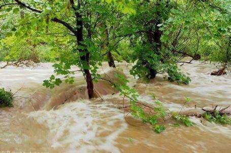 夢到水災|夢見洪水、發大水